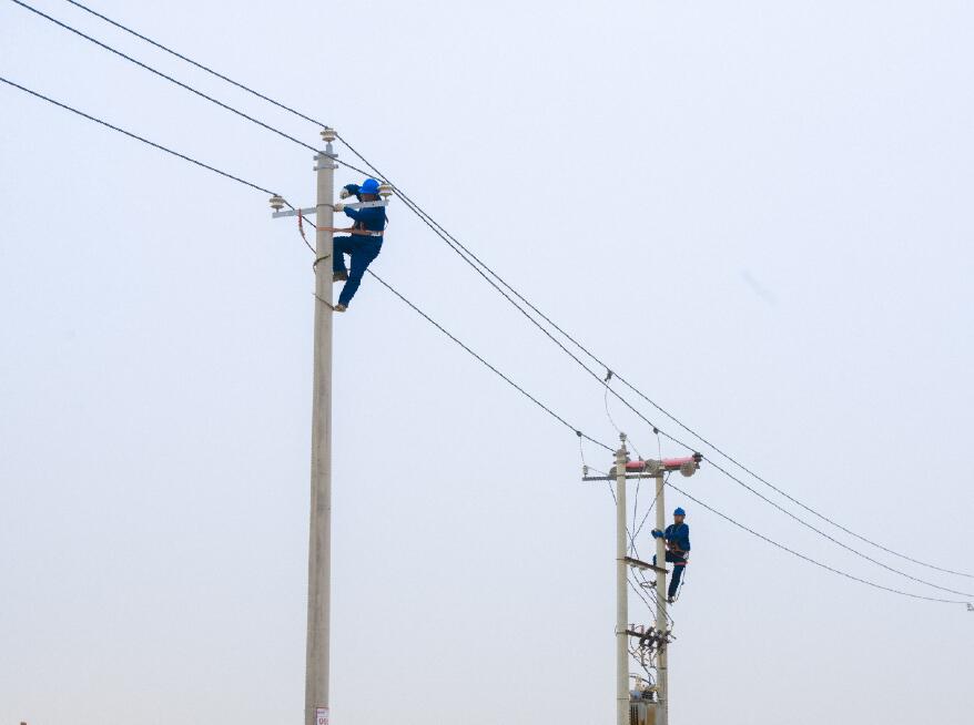 阿拉善供電公司：電網(wǎng)健康“體檢”，從登桿開始