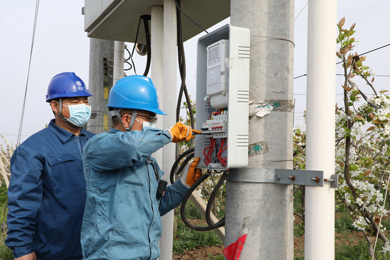 國(guó)網(wǎng)諸城市供電公司電力足，千畝梨園花正濃