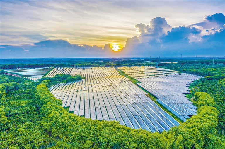 海南電網(wǎng)公司加快構(gòu)建現(xiàn)代供電服務(wù)體系，驅(qū)動(dòng)鄉(xiāng)村振興電力引擎