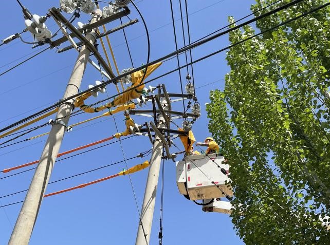 帶電作業(yè)除隱患，安全供電有保障