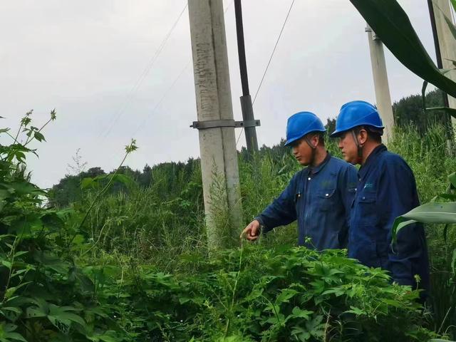國網(wǎng)長春供電公司積極應(yīng)對極端天氣，確保線路設(shè)備穩(wěn)定運(yùn)行
