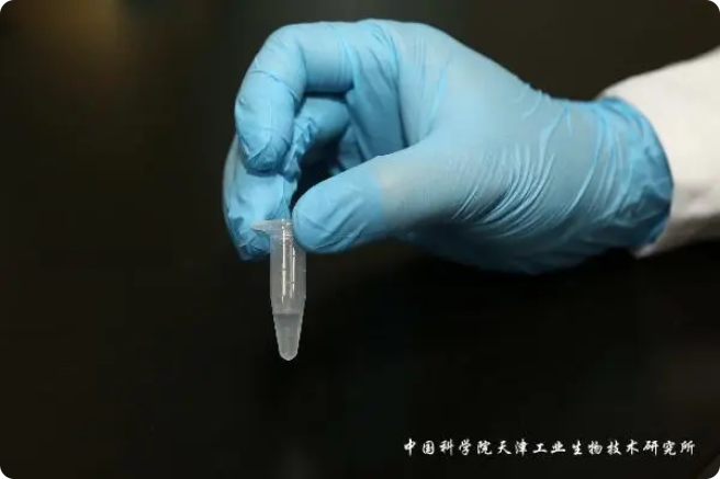 二氧化碳“變身”糖，中國科學(xué)家實(shí)現(xiàn)重大突破!