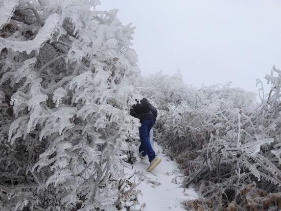 【新春走基層】迎雪而上攻堅行，奮戰(zhàn)不息護光明