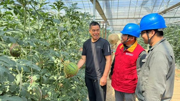 國網三門峽供電公司“優(yōu)質電”助農戶增產增收
