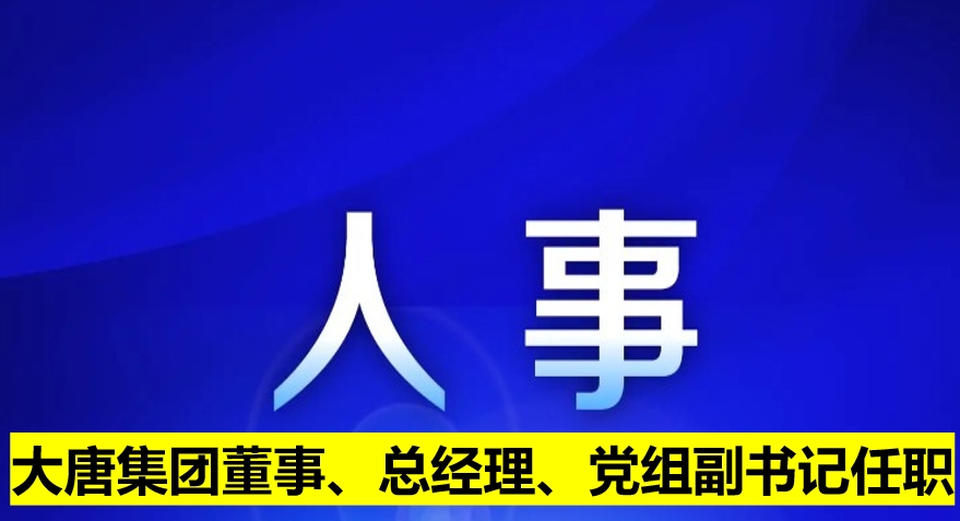 大唐集團(tuán)董事、總經(jīng)理、黨組副書記任職